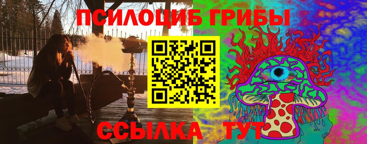 Брянск  Галлюциногенные грибы прущие грибы  Псилоцибиновые грибы прущие грибы  Вход с VPN 