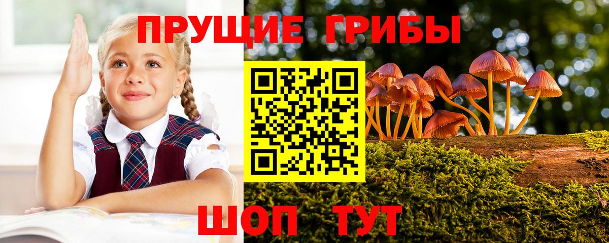 Галлюциногенные грибы ЛСД Брянск